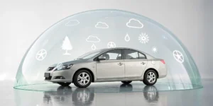 A car shielded by comprehensive coverage from weather, theft, and damage from animals.